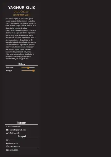 Okul Öncesi Öğretmeni Öğretmenliği Cv Örnekleri cv indir